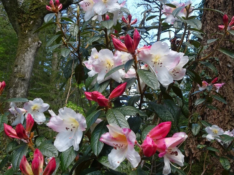 'Coastal Spice'